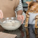 Why Do Cats Make Biscuits? The Surprising Reason Behind It