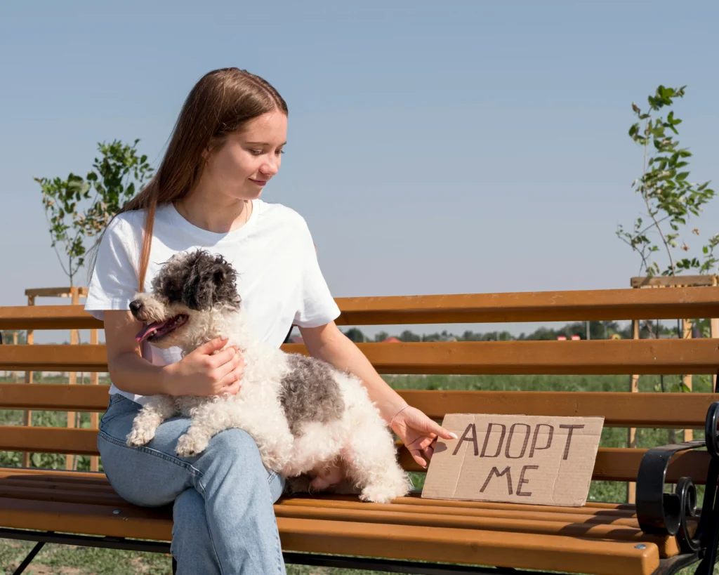 rehoming a dog