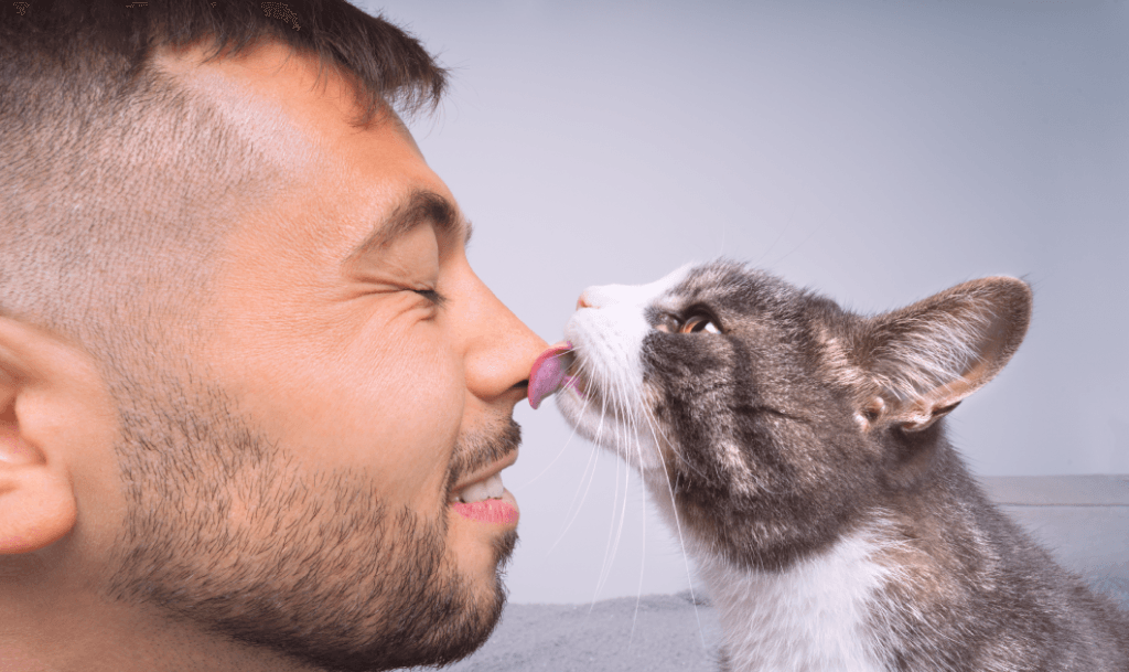 why do cats lick you
