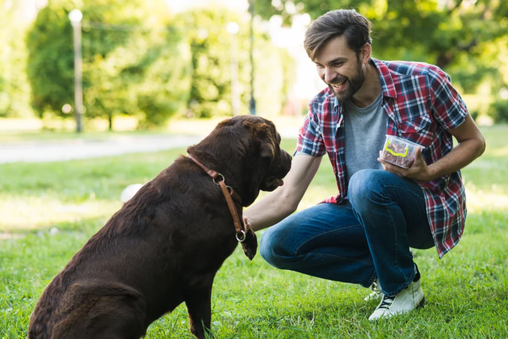 rehoming a dog