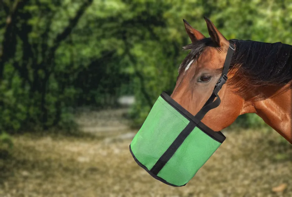 horse feed bag