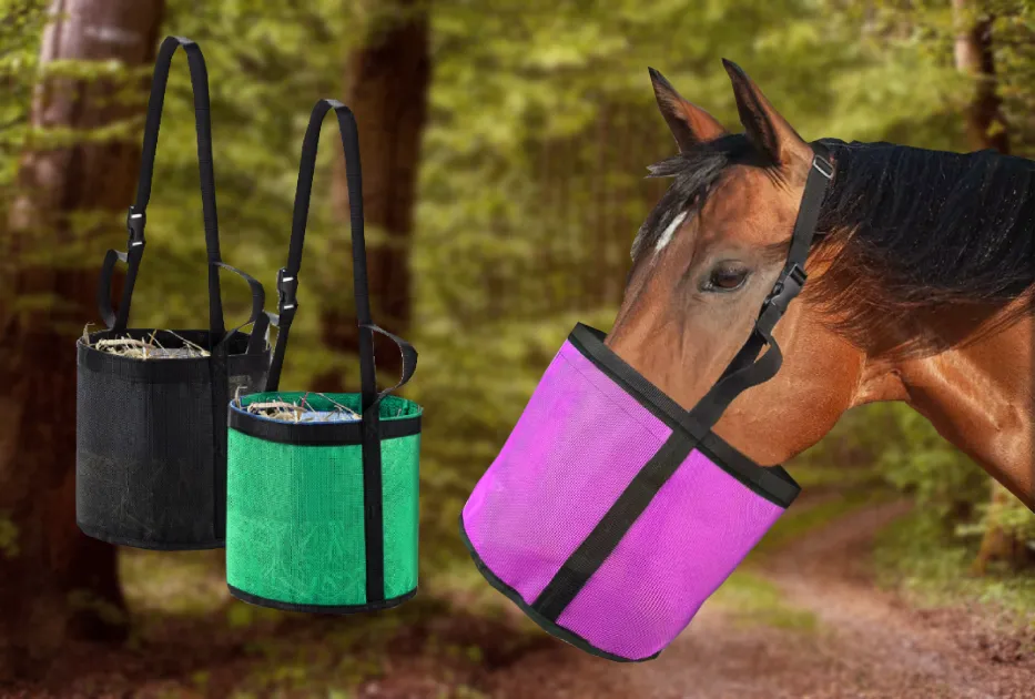 horse feed bag