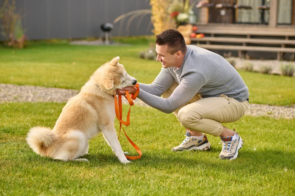 service dog training