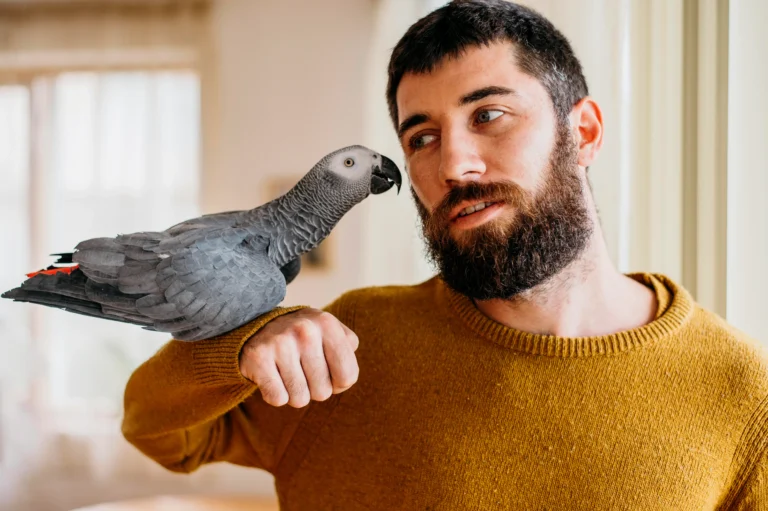 How Much Is a Cockatoo? 5 Real Prices & Shocking Costs Explained