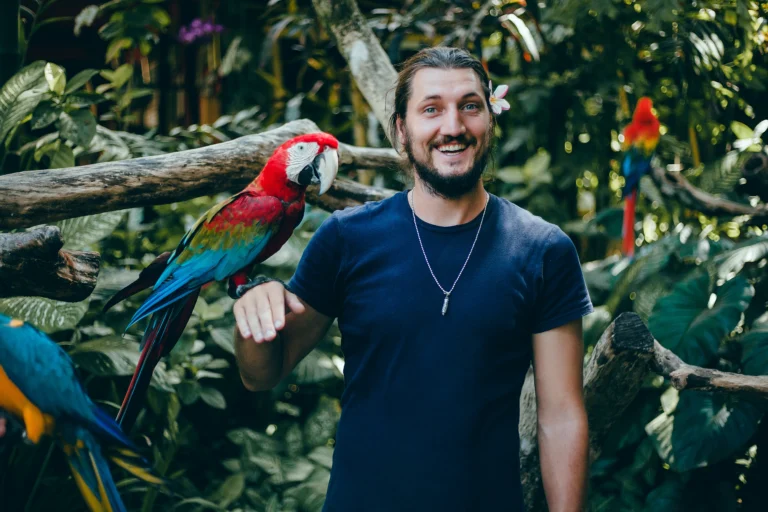 5 Reasons Your Macaw Training Isn’t Working (And What to Do Instead)