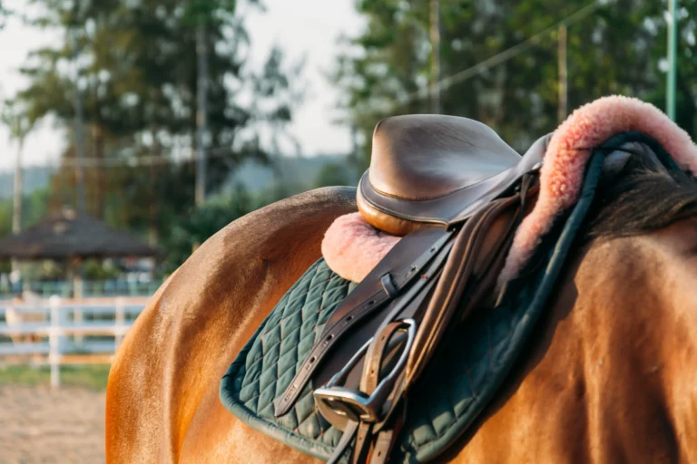 Top 4 Horse Deworming Schedule Fails That Could Be Killing Your Horse