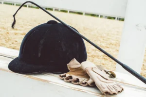The 5 Deadliest Myths About Average Horse Weight: What Every Horse Owner Needs to Know