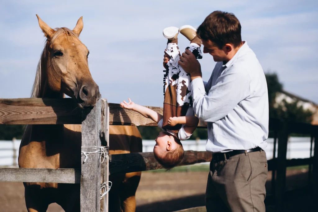 Senior Horse