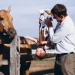 Top 5 Senior Horse Feeds That Actually Work (And 3 to Avoid)