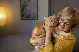 4 Heartbreaking Reasons Senior Cats Are Overlooked (And Why You Should Adopt One)