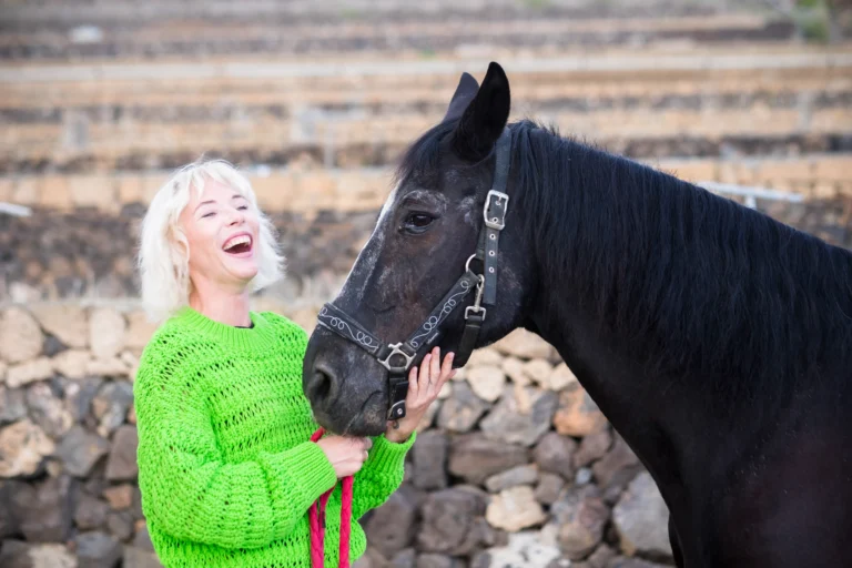 Friesian Horse Costs EXPOSED: 5 Hidden Fees That’ll Shock You